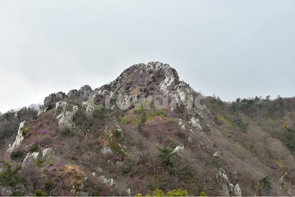 주작산,덕룡산,종주,진달래,풍경,기암,바위,비경,봄풍경,진달래꽃,강진,명산,산행,등산,마운틴,힐링,mountain,landscape,자연,natural,자연,풍경,nature,landscape,한국자연풍경,한국자연경관,korea nature landscape,outdoors,옥외