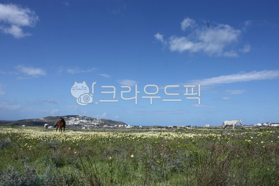 Greece,sky,Field,sight,santorini
