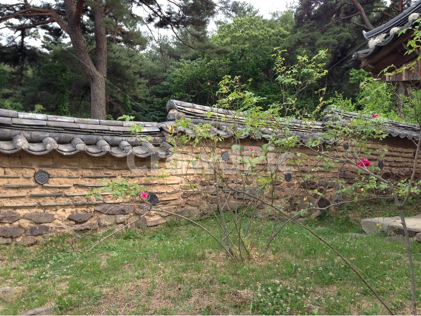 도동서원,건축,서원,담,dodong,architecture,confucianacademy,wall,한국전통,한국문화,korean traditional,korean culture,건축물,건물외관,exterior,building,structure,architecture,construction