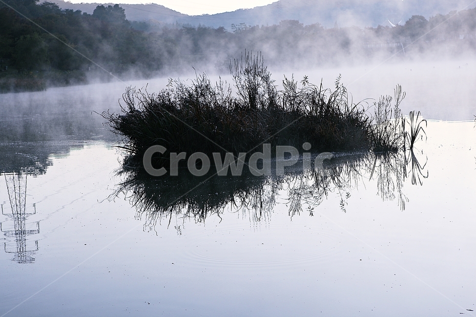 호수,인천대공원,물안개,새벽,아침,풍경,자연,식물,물,자연,풍경,nature,landscape