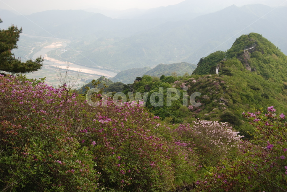 봄,산,꽃,자연,하늘,자연,풍경,nature,landscape,outdoors,옥외