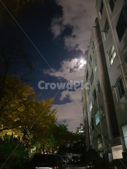 도시,밤,저녁,달빛,달,구름,아파트,빌라,나무,야경,밤,풍경,nightscape,night,landscape,건축물,건물외관,exterior,building,structure,architecture,construction,flare,플레어,light,빛