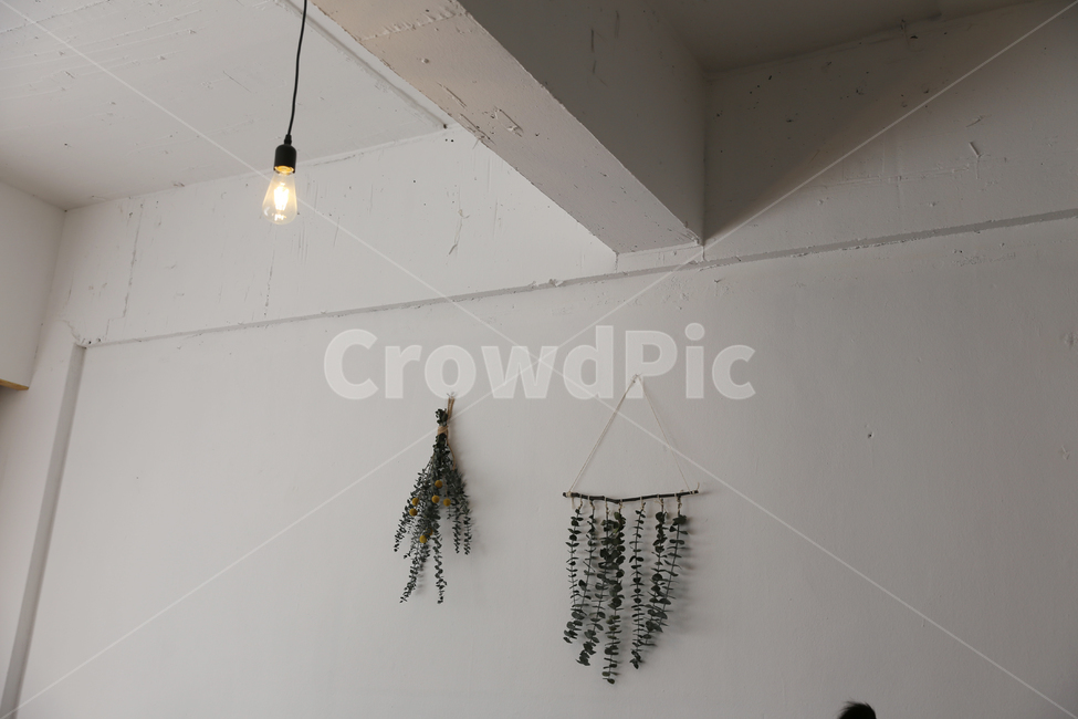 심플,깔끔,디자인,인테리어,식물,인테리어,실내디자인,interior design