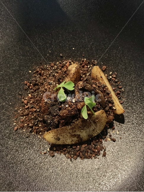 감자,potato,퓨전요리,요리,meal,퓨전,그릇,plate,접시,dish