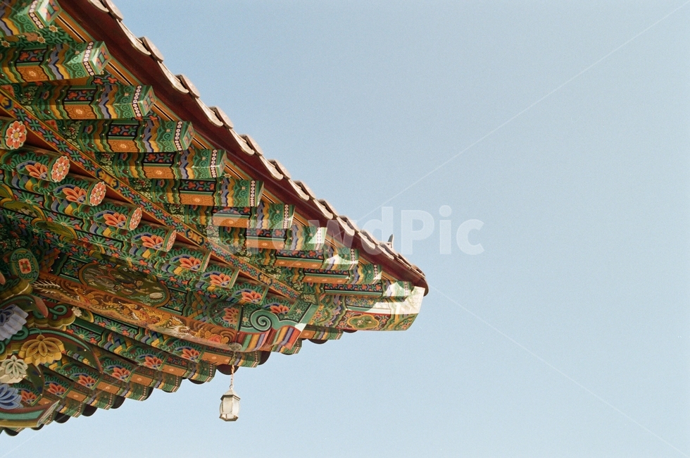 한국,전통,korea,traditional,감성,분위기,필름카메라,필름,빈티지,고전,한국전통,한국문화,korean traditional,korean culture,건축물,건물외관,exterior,building,structure,architecture,construction