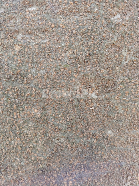 텍스쳐,질감,문양,나무껍질,나무,껍질,조직,texture,텍스처,질감,패턴,texture,pattern