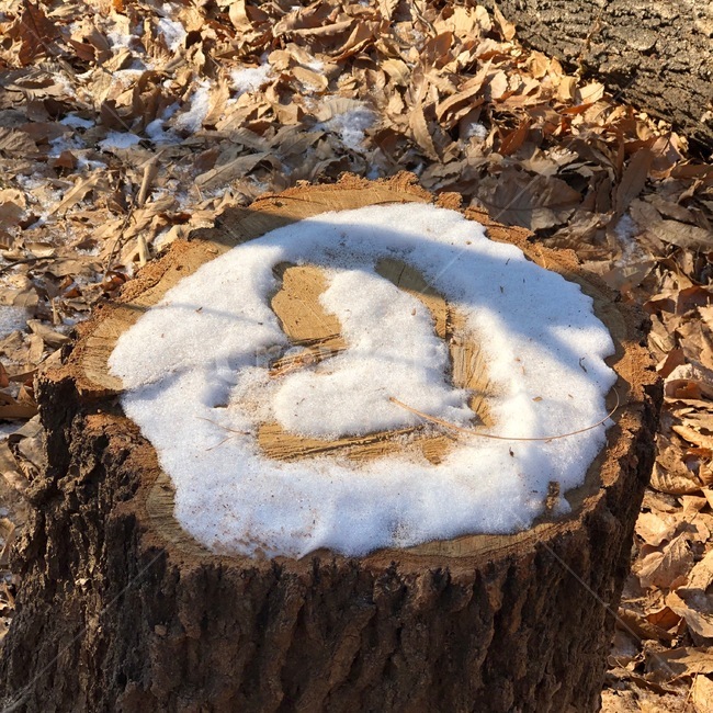 감성,산책로,눈,하트,snow,겨울,계절,winter,season