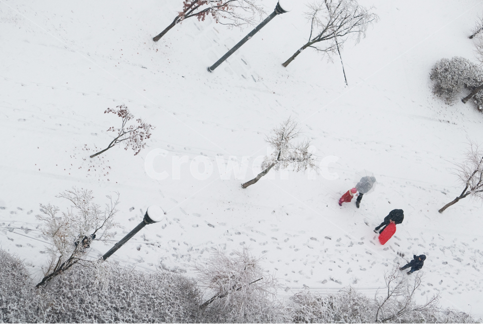 겨울,눈썰매,감성,하얀색,겨울풍경,nature,자연,outdoors,옥외,storm,폭풍,snow,눈,winter,blizzard,눈보라