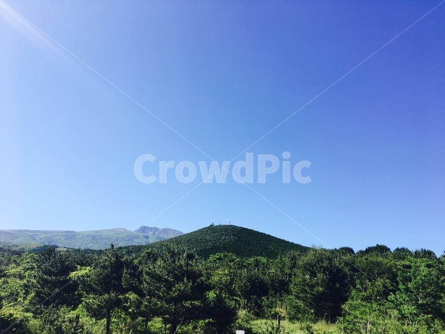 오름,제주도,여름,소나무,숲,하늘,자연,풍경,nature,landscape,outdoors,옥외,hill,언덕