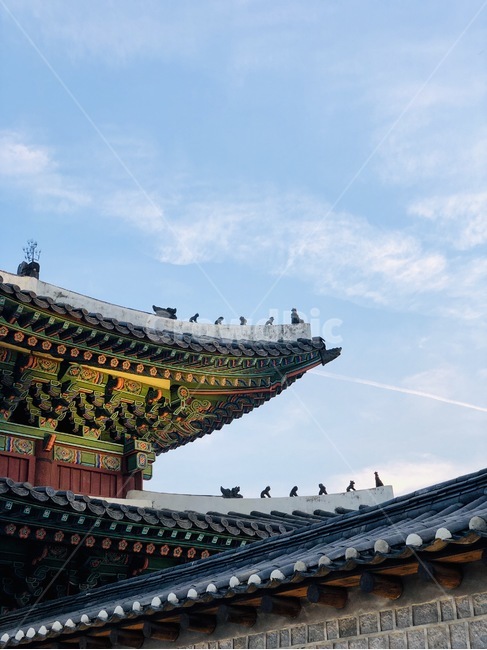 저녁,구름,하늘,창경궁,기와,한옥,고궁