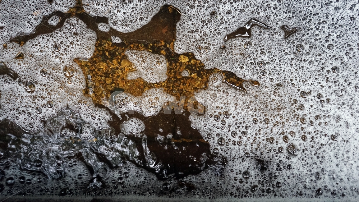 거품,빗물,물,bubble,water