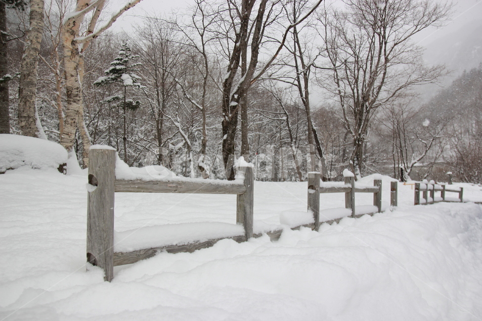 울타리,눈,길,나무,겨울,겨울,계절,winter,season,자연,풍경,nature,landscape,outdoors,옥외