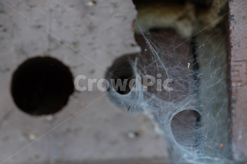거미줄,벽돌,차가운,거미,오래된,낡은,old,web,cold,더러운,dirty,구멍,hole,빈티지사진,빈티지느낌,빈티지감성,vintage