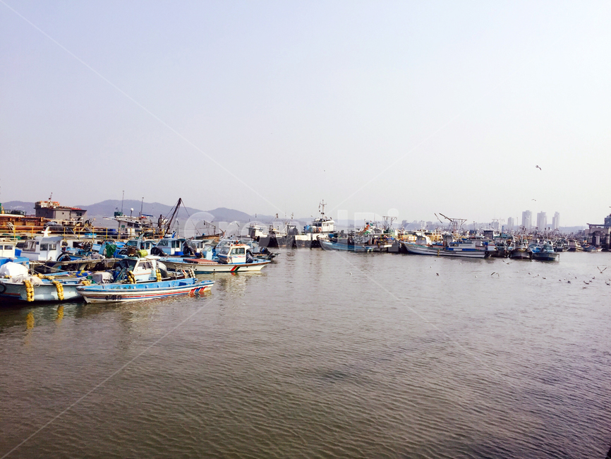 바다,배,바다풍경,어선,fishingboat,ocean,고깃배