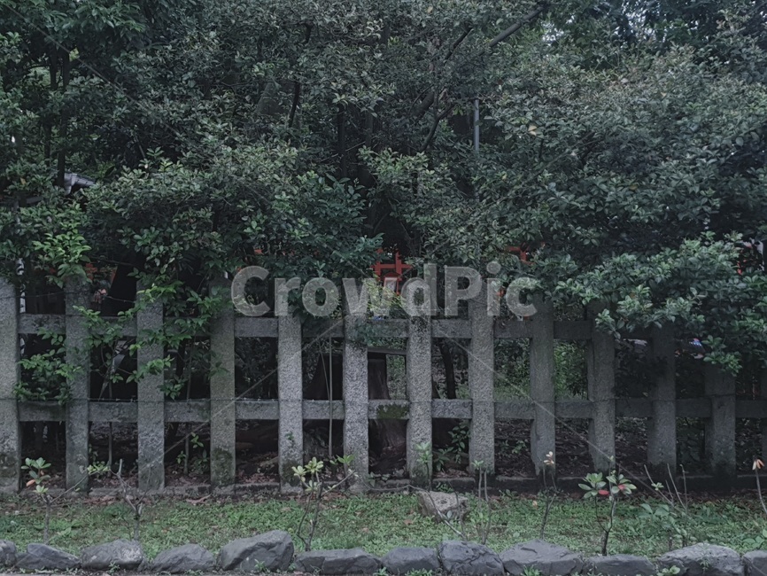 일본,일본거리,일본풍경,거리,풍경,신사,일본신사,교토,교토신사,나무,공원