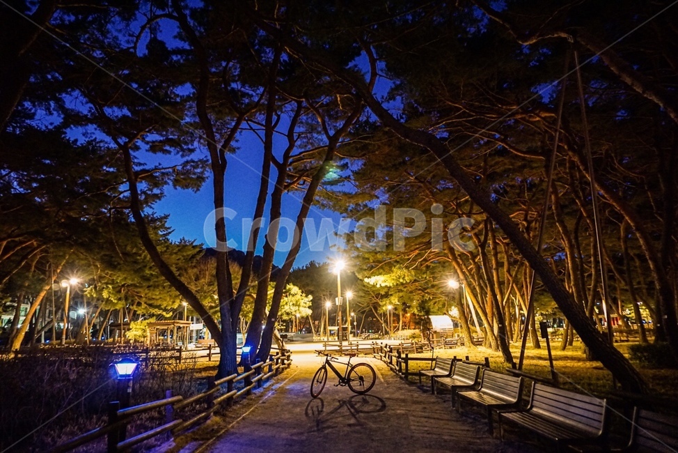 자연,공원,자전거,일몰,어두움,코로나,외로움,쓸쓸함,조용,평화,자연친화적,bench,벤치,furniture,walkway,보도