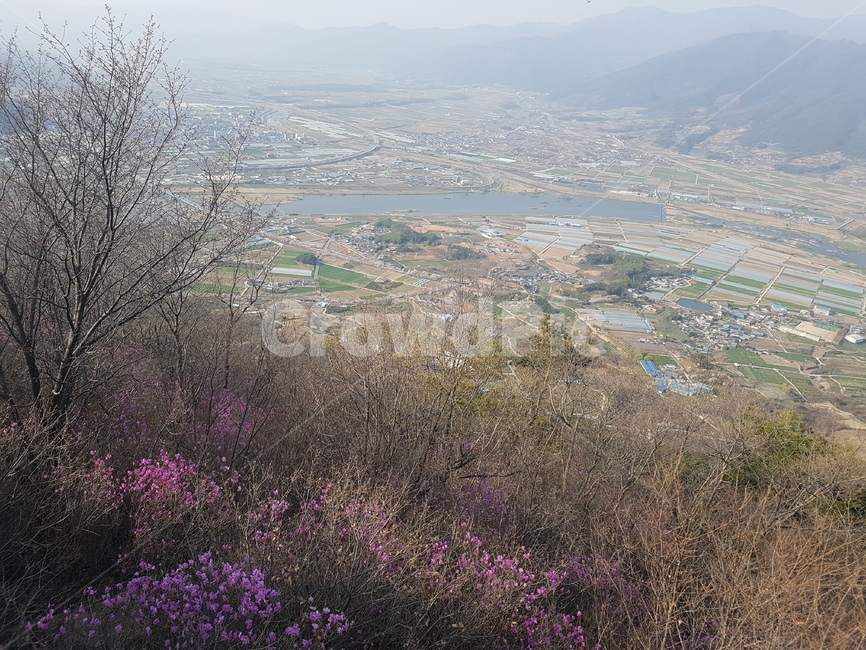 봄,진달래,산정상,경치,봄꽃,자연,풍경,nature,landscape