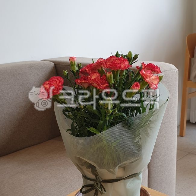 plant,식물,꽃다발,flowerbouquet,flower,flowerarrangement,꽃꽂이,blossom,꽃,장미,장미꽃,붉은장미,빨간장미,핑크색장미,카네이션,carnation
