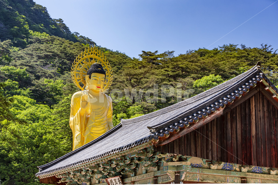 bronze buddha statue,Cultural Heritage,National tourist site,temple,land mark,Beopjusa Temple,Attractions,GiltBronze Maitreya Statue