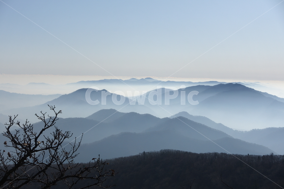 산,정상,운무,안개,발왕산,몽환적인,실루엣,nature,자연,mountain,outdoors,옥외,풍경,자연,풍경,nature,landscape