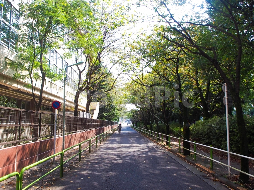 휴식,오후,연휴,일본,주말,나른함,도시풍경,도시,풍경,city,landscape,해외,외국,세계,foreign,oversea,world