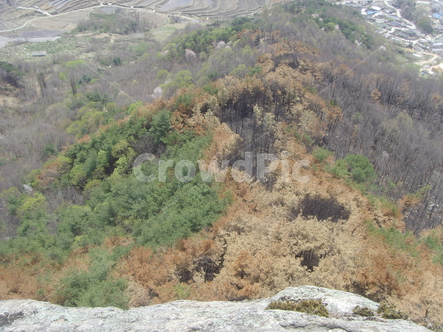 산,자연,풍경,산불,훼손