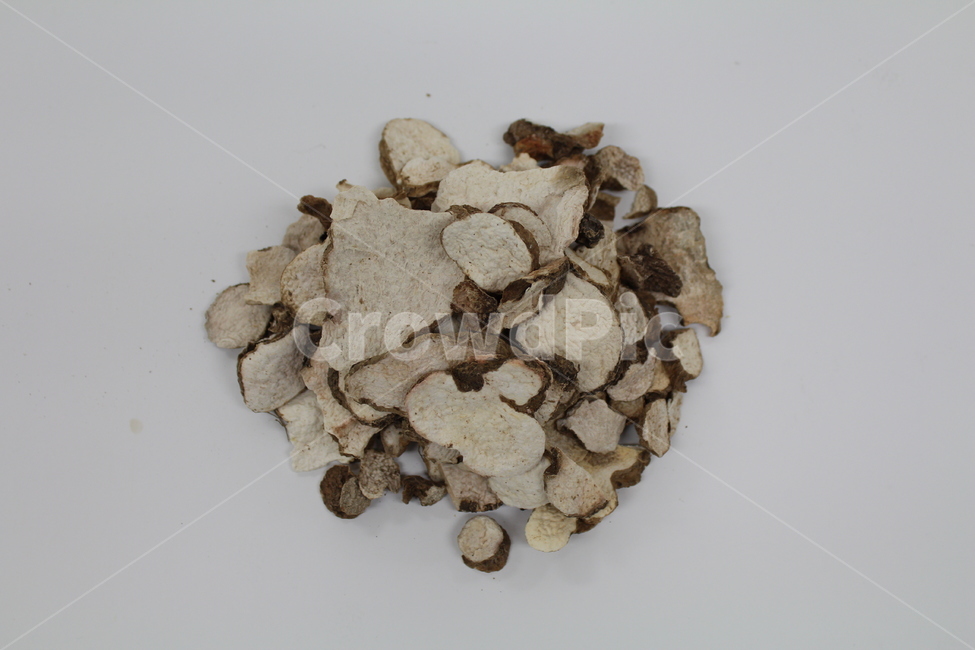 한약,보약,한약재,한의원,한방병원,한방,한의사,한의학,약재,약초,약용식물,허브,herb,천연,동의보감,허준,tonic,koreanmedicine,koreantraditional,산약,참마,마,orientalmedical