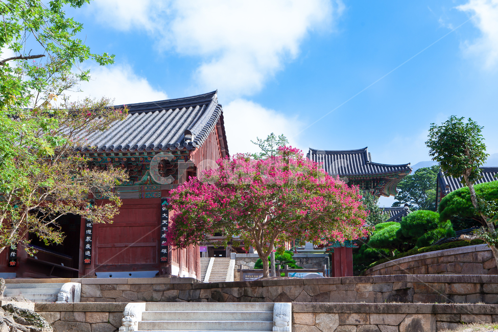 역사,건물,풍경,배경,백그라운드,구례,화엄사,꽃,기와,처마,한옥,절,불교,건축,식물,단청,전통,천년고찰,돌담,담장,기와장,계단,돌계단,문화,유산,유물,유적,종교,목조건물,사찰,고찰,outdoors,옥외,architecture,building,temple,나무,tree,홍매화,매화,한국전통,한국문화,korean traditional,korean culture,종교,신앙,religion,belief,faith,건축물,건물외관,exterior,building,structure,architecture,construction