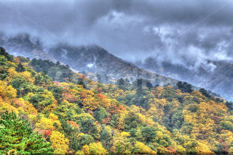 가을,단풍,산,자연풍경,풍경,강원도,landscape,Autumn,Fall,Mountain,Natural,Nature,maple,AutumnColors,가을,계절,fall,autumn,season,자연,풍경,nature,landscape,한국자연풍경,한국자연경관,korea nature landscape,outdoors,옥외,mountain,mountain range,산맥