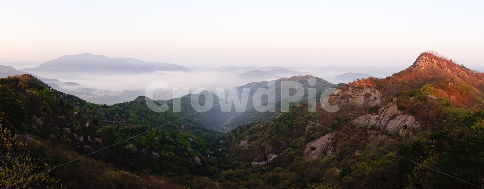 마이산,운해,봄,산벚꽃,진안군,자연,풍경,nature,landscape,한국자연풍경,한국자연경관,korea nature landscape,outdoors,옥외,hill,언덕