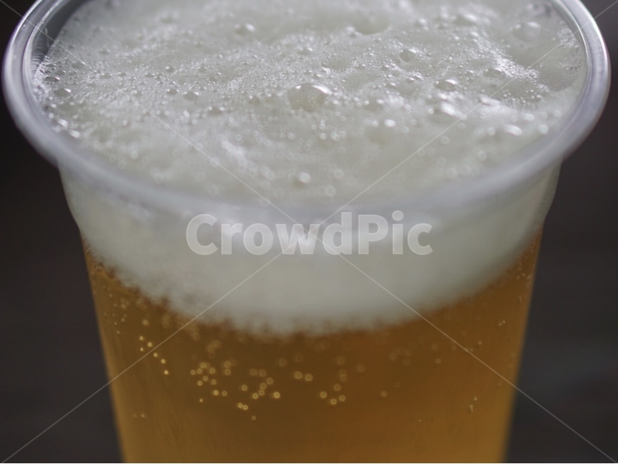 맥주,beer,음료,생맥주,일회용컵