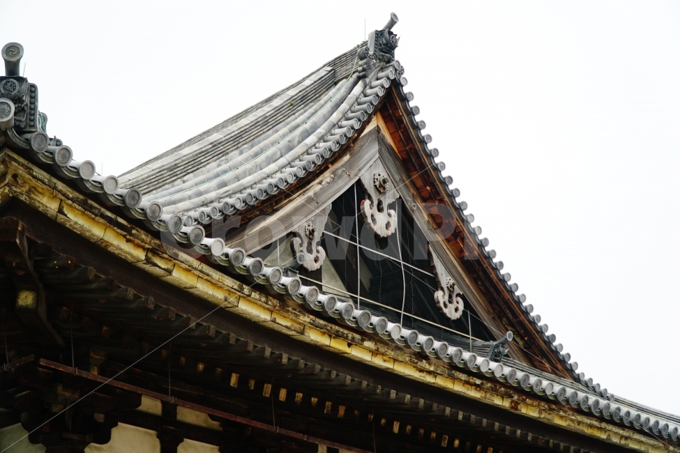 일본,문화,문화재,역사,유적,유적지,교토,외국,여행,해외,외국여행,해외여행,japan,Kyoto,건물,건축,목조,기와,지붕,불교,사찰,절,종교,목조건물,유네스코세계문화유산,일본식한옥,일본식가옥,동양,아시아,asia,history,히스토리,건축물,건물외관,exterior,building,structure,architecture,construction,해외,외국,세계,foreign,oversea,world
