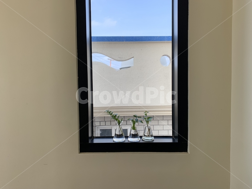 window,창문,장식품,카페,감성