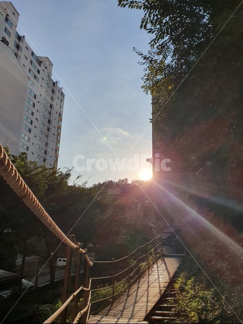 오솔길,read,light,빛,flare,플레어,자연,나무,tree,natural