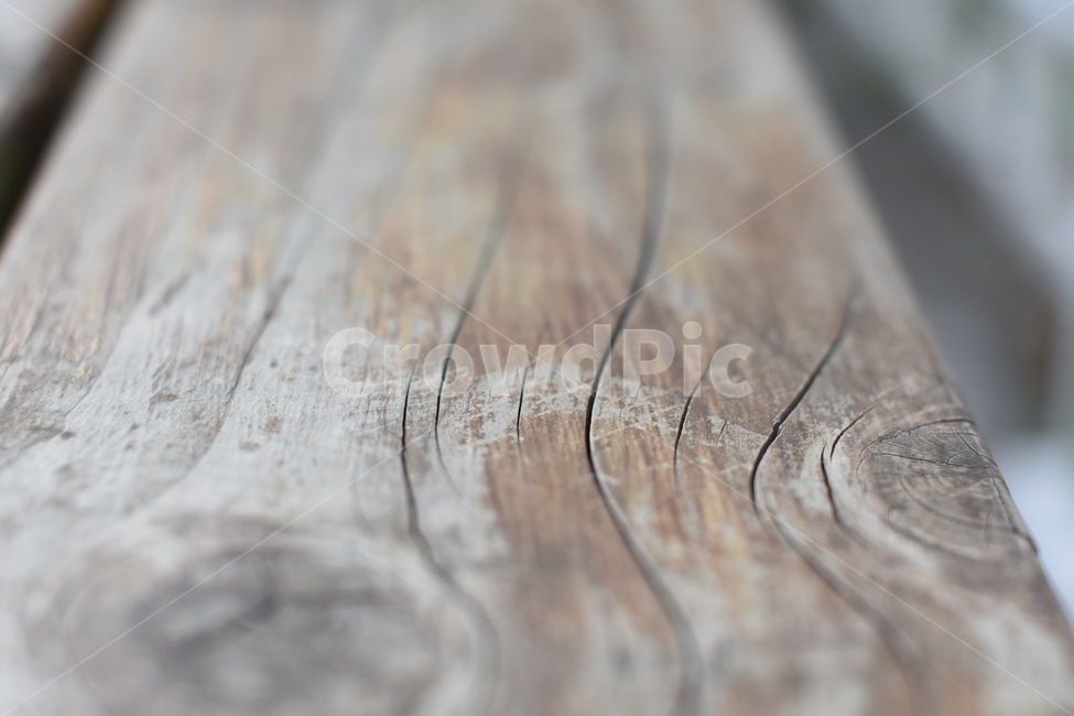 나무,나무결,무늬,패턴,나무접사,wooden