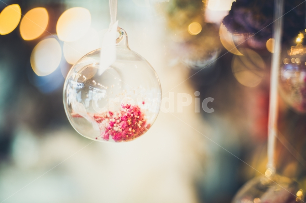 꽃,플라워,드라이플라워,플레어,힐링,감성사진,감성,빛,사진,카페,여행,한국적인,겨울,구술,flower,driedflower,flare,감성,sensible,feeling,사물,물건,오브젝트,thing,object,matter