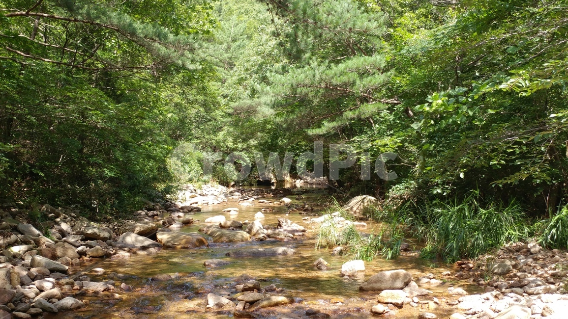 water,물,creek,작은만,stream,흐름,nature,자연,outdoors,옥외,land,나라,맑은,개울,계곡,바위,돌,나무,풀,깨끗한,시원한,여름