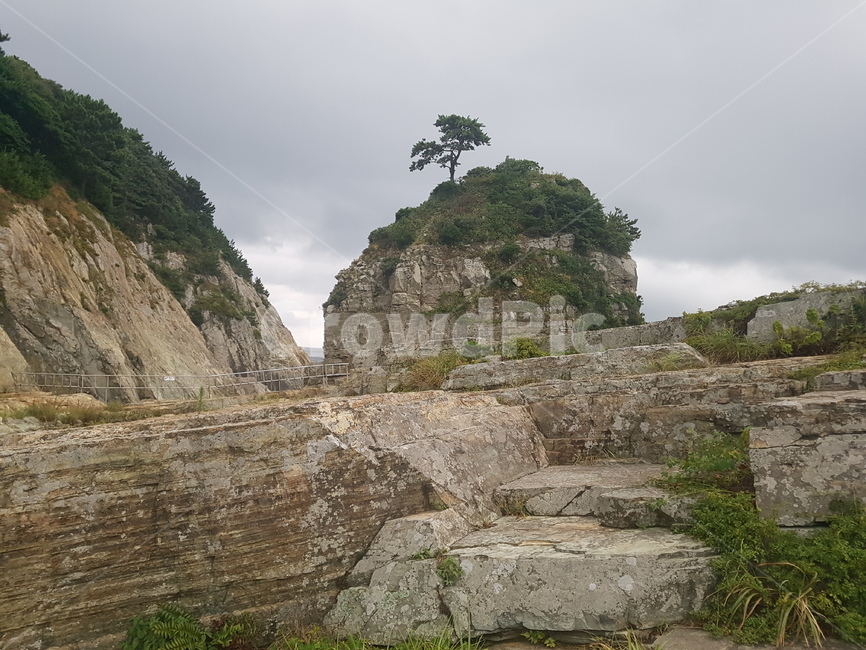 보타니아,외도,바다,보타니아섬,거제도,자연,풍경,nature,landscape,한국자연풍경,한국자연경관,korea nature landscape,outdoors,옥외,cliff,낭떠러지