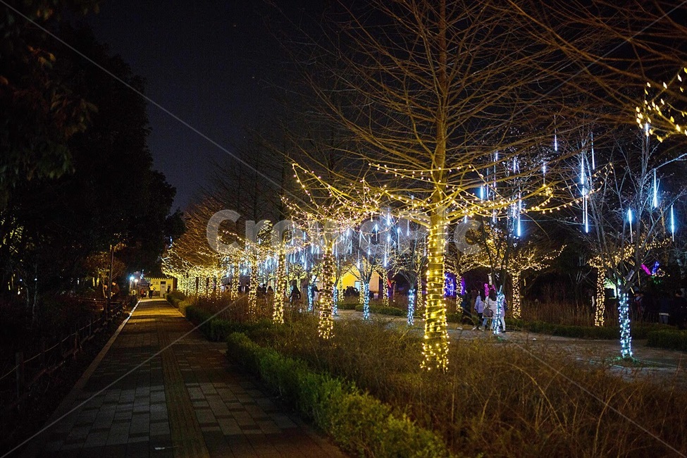 lde조명,나무,전주동물원야간개장,전주동물원,야간개장,조명,나무조명,야경,밤,풍경,nightscape,night,landscape,path,통로,walkway,보도