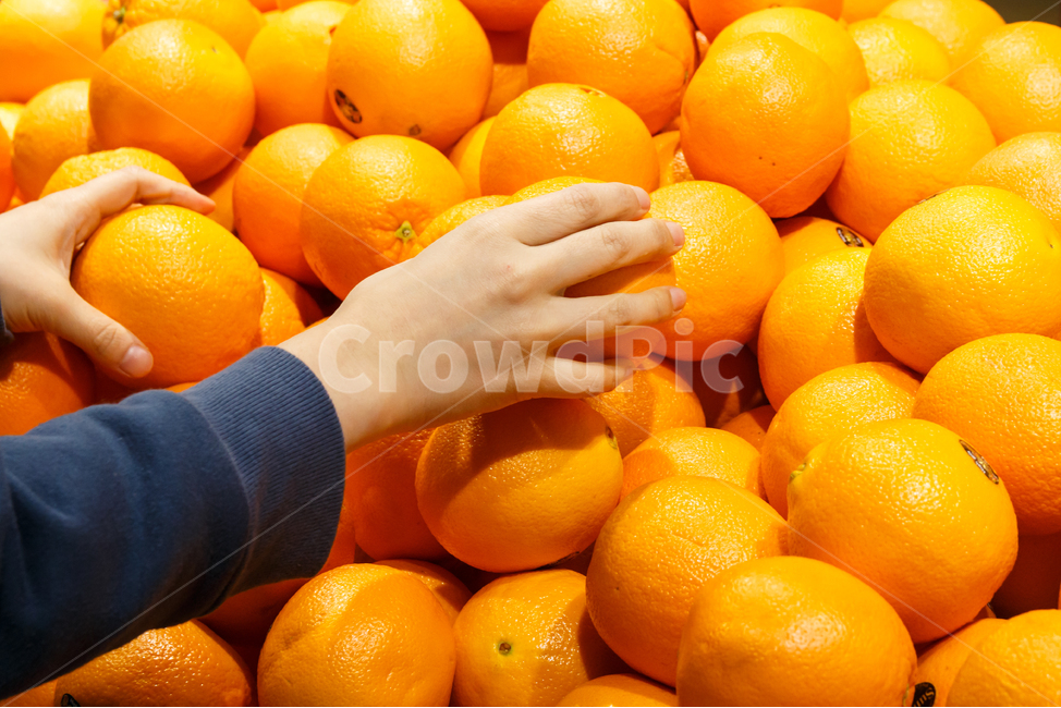 오렌지,과일,과일가게,여성의손,장보기,장보는손,마트,대형마트,시장,신선한,손가락,선별,상큼한,비타민,영양,디저트,선택,고르기,손,신체,시장,마트,마켓,market,mart,market place,사람,인물,인간,human,person,신체일부,몸,body,음식,식재료,요리,food,cook,meal,dishes,food reserves,과일,열매,fruit