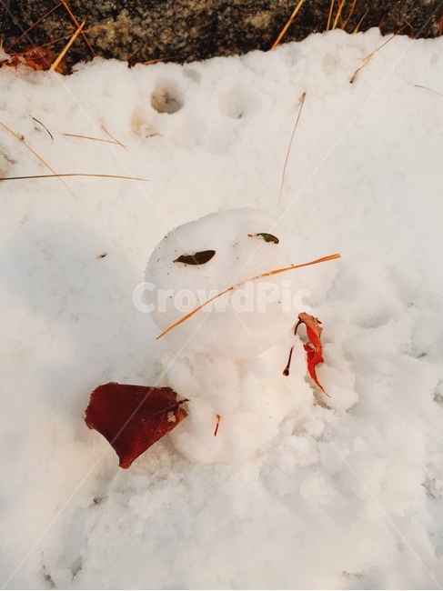 눈사람,겨울,눈,하얀,winter,snow,white,snowman,나뭇잎,leaf,겨울,계절,winter,season