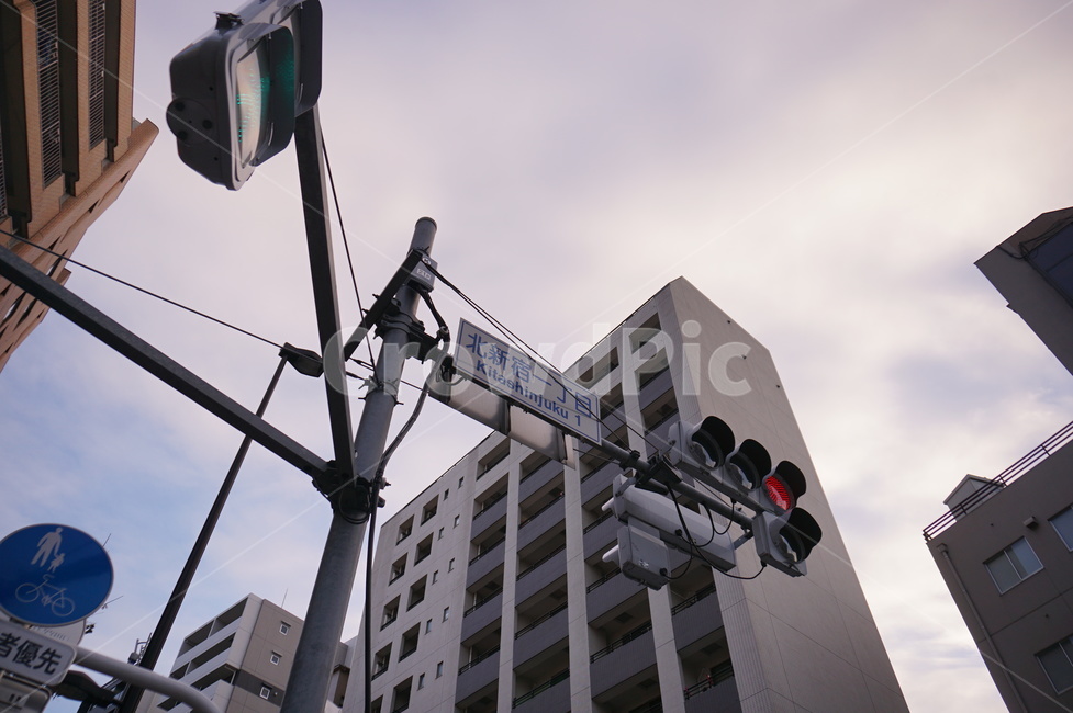 일본,북쪽,신주쿠,도쿄,길거리,street,신호등,표지판,sign,하늘,풍경,무드,이정표