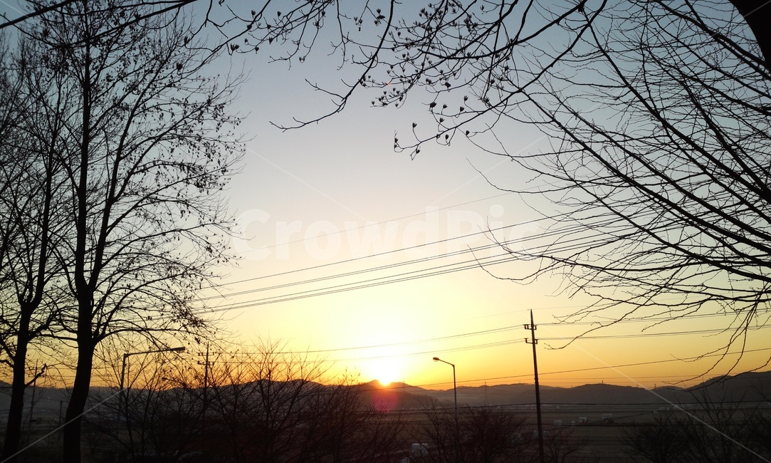 일출,해,산책,안산,새벽,아침,하늘,오전,동네,역광,풍경,감성,자연,풍경,nature,landscape