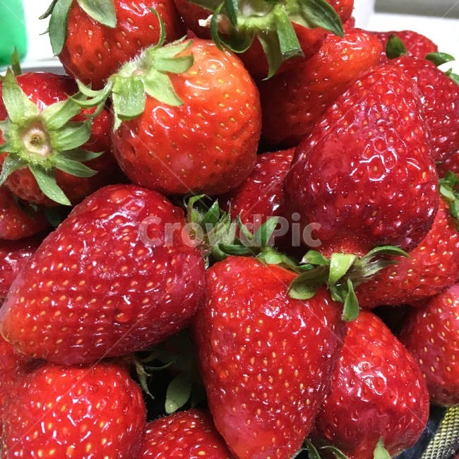 딸기,빨간,새빨간,레드,hot,과일,빨강,신선한,색감,맛있는,strawberry,red,fruit,fresh,음식,식재료,요리,food,cook,meal,dishes,food reserves,채소,야채,vegetables