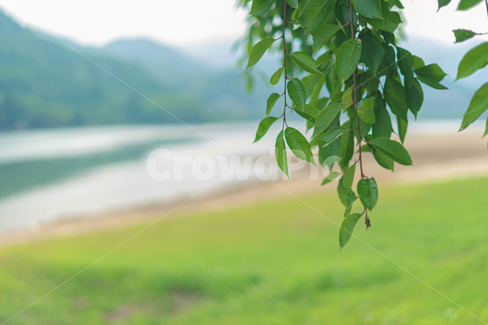 강,섬진강,송림공원,산책,여름,색감,푸르름