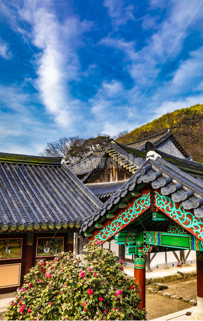 화엄사,문화유산,사찰,인간,봄,기와,풍경,지붕,roof,하늘,전통건축물,한옥