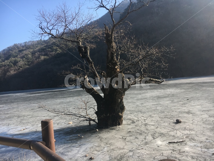 경북청송,겨울,주산지,주왕산국립공원,주왕산,겨울,계절,winter,season