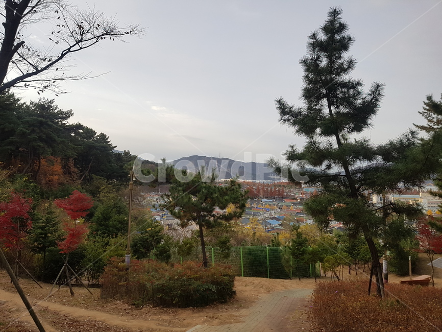 산,공원,풍경,나무,힐링,창원