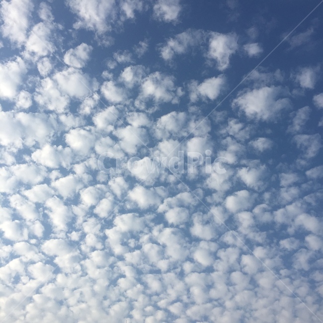 구름,하늘,파란하늘,양떼구름,sky,cloud,자연,풍경,nature,landscape,outdoors,옥외,weather,날씨,cumulus,적운