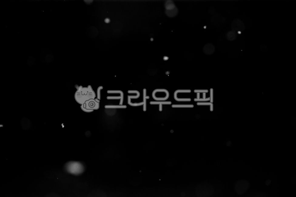 함박눈,snow,눈합성소스,함박눈합성소스,포토샵합성소스,보케이미지,보케합성소스,겨울,눈